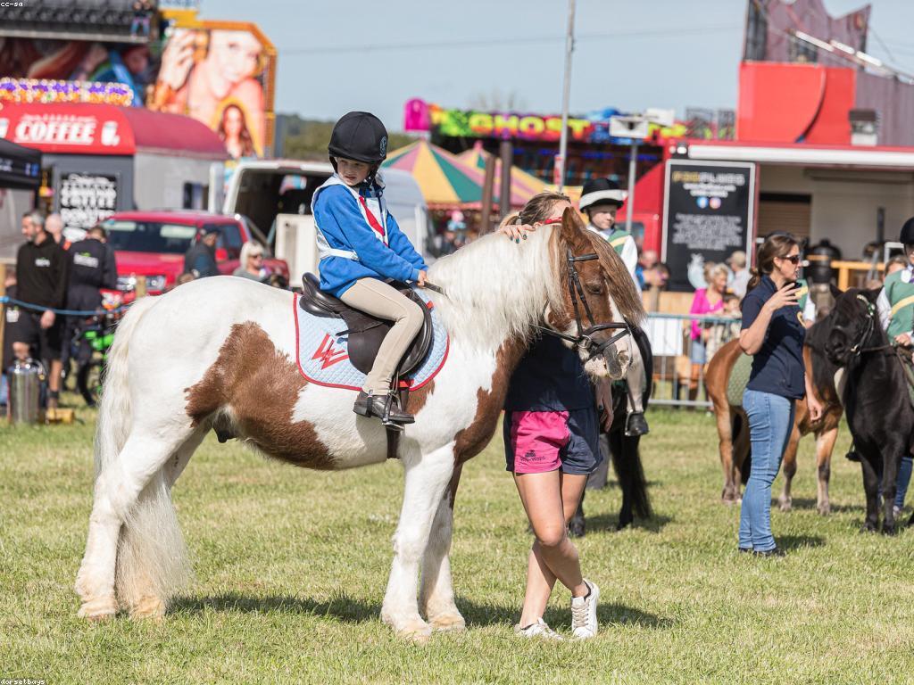 ល្បែងស៊ីសងថ្មី: ការចាប់ផ្តើមនិងការប្រកួតប្រជែង