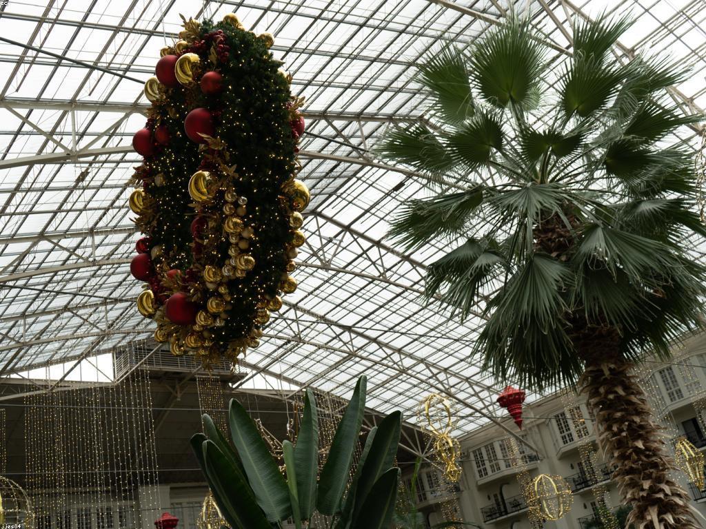 ឱកាសស៊ីសង: ការផ្លាស់ទីក្នុងទីផ្សារឌីជីថល